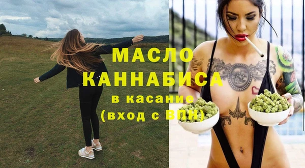 индика Рославль