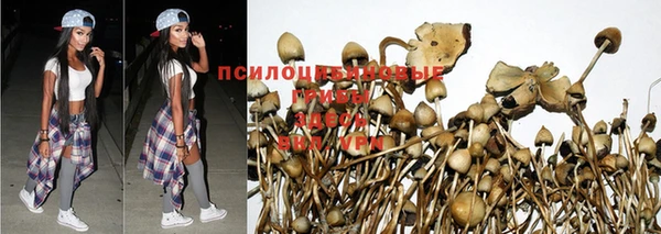 прущий лед Алексеевка
