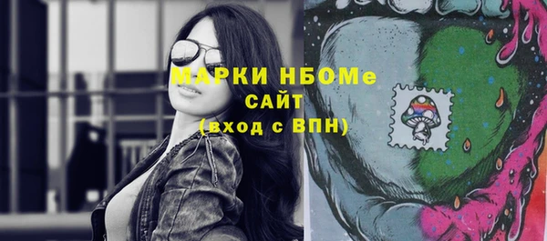 индика Рославль